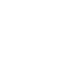 Logo Motor88